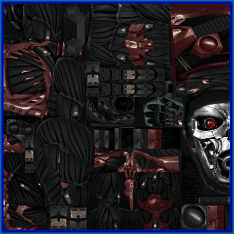 Transmorpher Dds